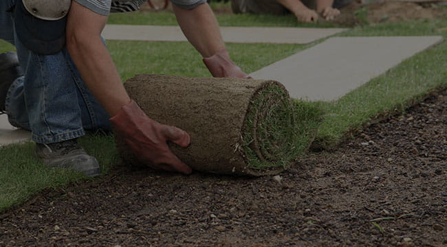 Montreal Lawn Care